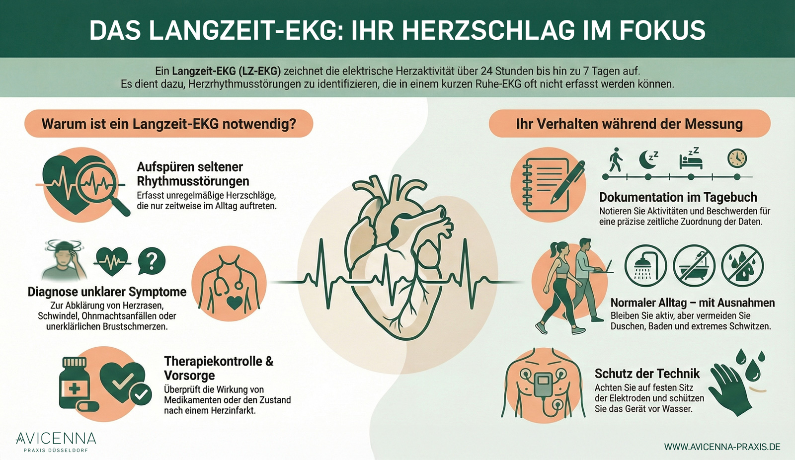 Langzeit EKG Infografik